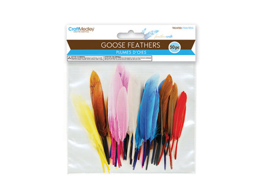 Decorative Feathers